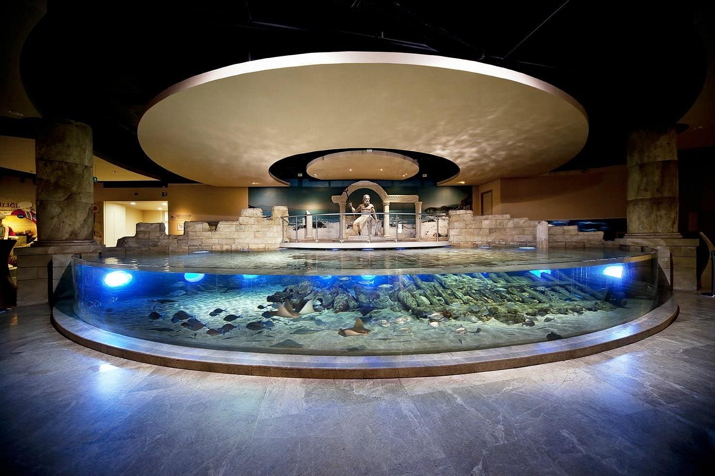 Istanbul Aquarium Ticket & Shuttle – Aqua Florya - Image 4