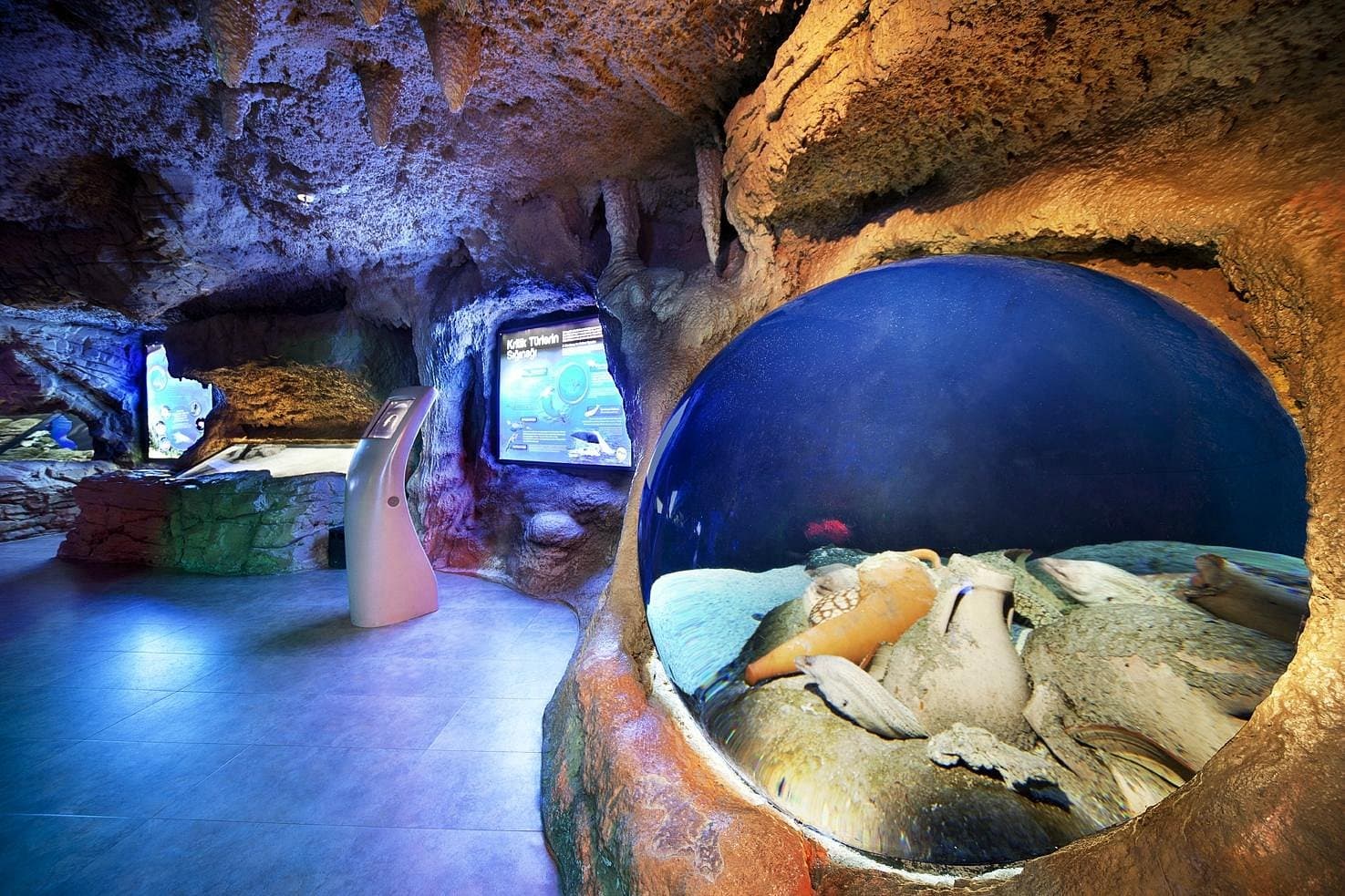 Istanbul Aquarium Ticket & Shuttle – Aqua Florya - Image 7