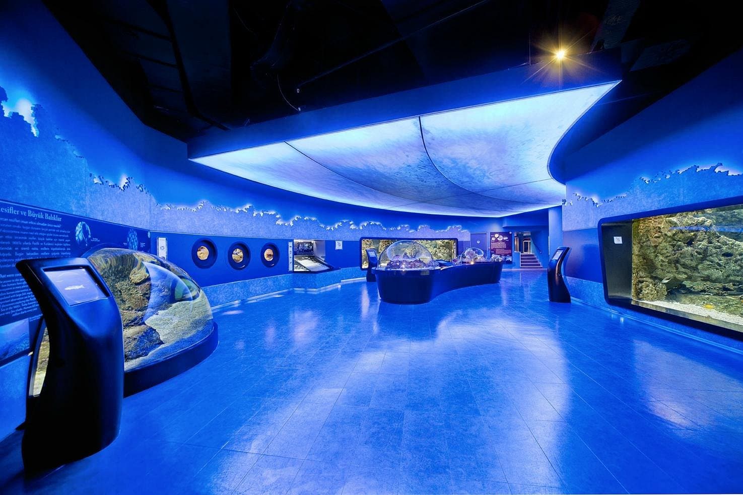 Istanbul Aquarium Ticket & Shuttle – Aqua Florya - Image 9