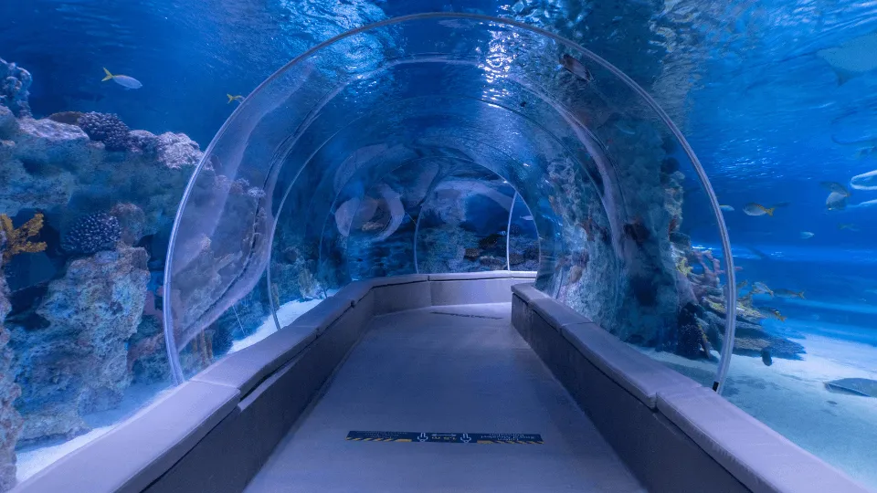Istanbul Emaar Aquarium - Image 1